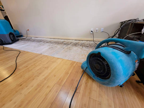 Professional Water Removal technician working in Eldorado Springs, CO